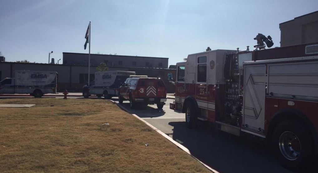 12 children injured in dog attack at Oklahoma City elementary school     