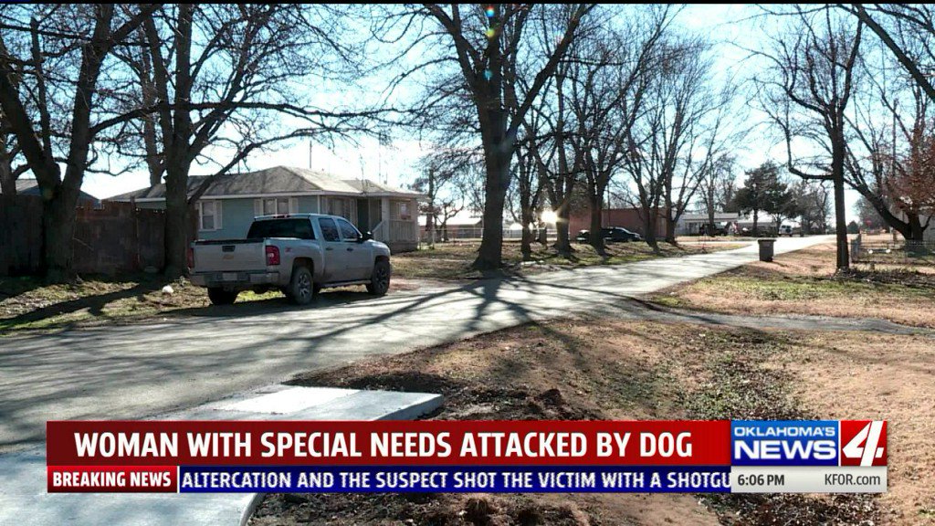 Woman injured after dog attack in Paden