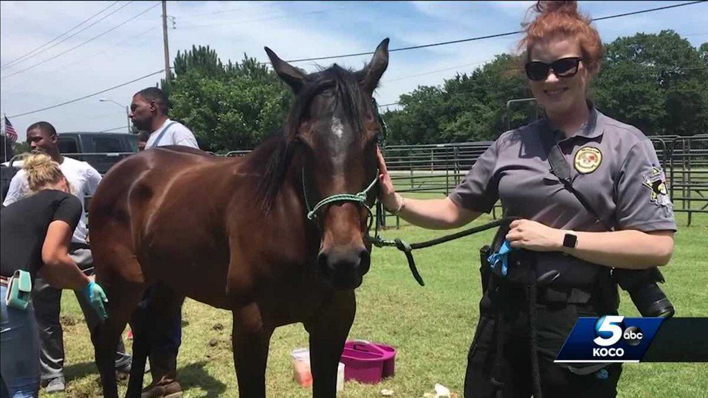 Officers continue search for people involved in drive-by shooting of men, horses in Spencer    
